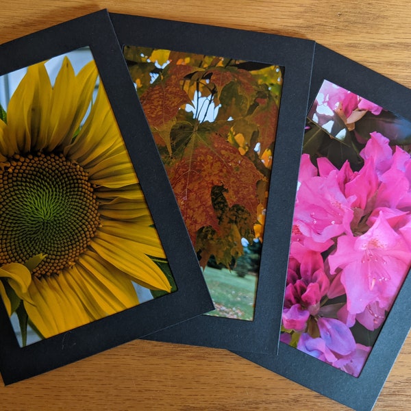 Flower Photograph Greeting Cards