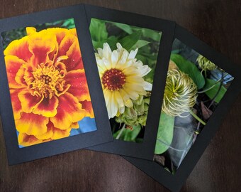 Flower Photograph Greeting Cards