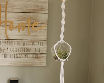 Hanging Glass Terrarium - Large