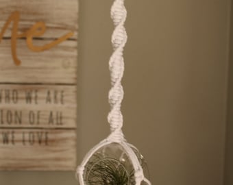 Hanging Glass Terrarium - Medium