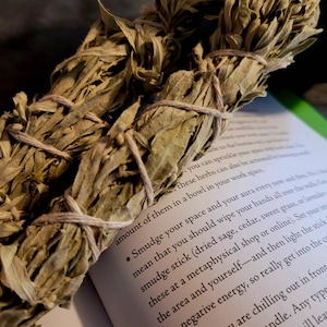 Prairie Sage Smoke Cleansing Sticks (Bundle of Two)