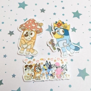 Blue Heeler needle minders