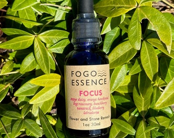 FOCUS - Flower and Stone Remedy Blend for focus and concentration