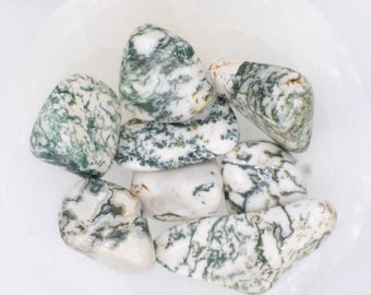 May include: A collection of polished moss agate stones, displaying a mix of white and green patterns. The stones are smooth and rounded, nestled in a white, shallow bowl. The natural variations in color and texture are prominent.