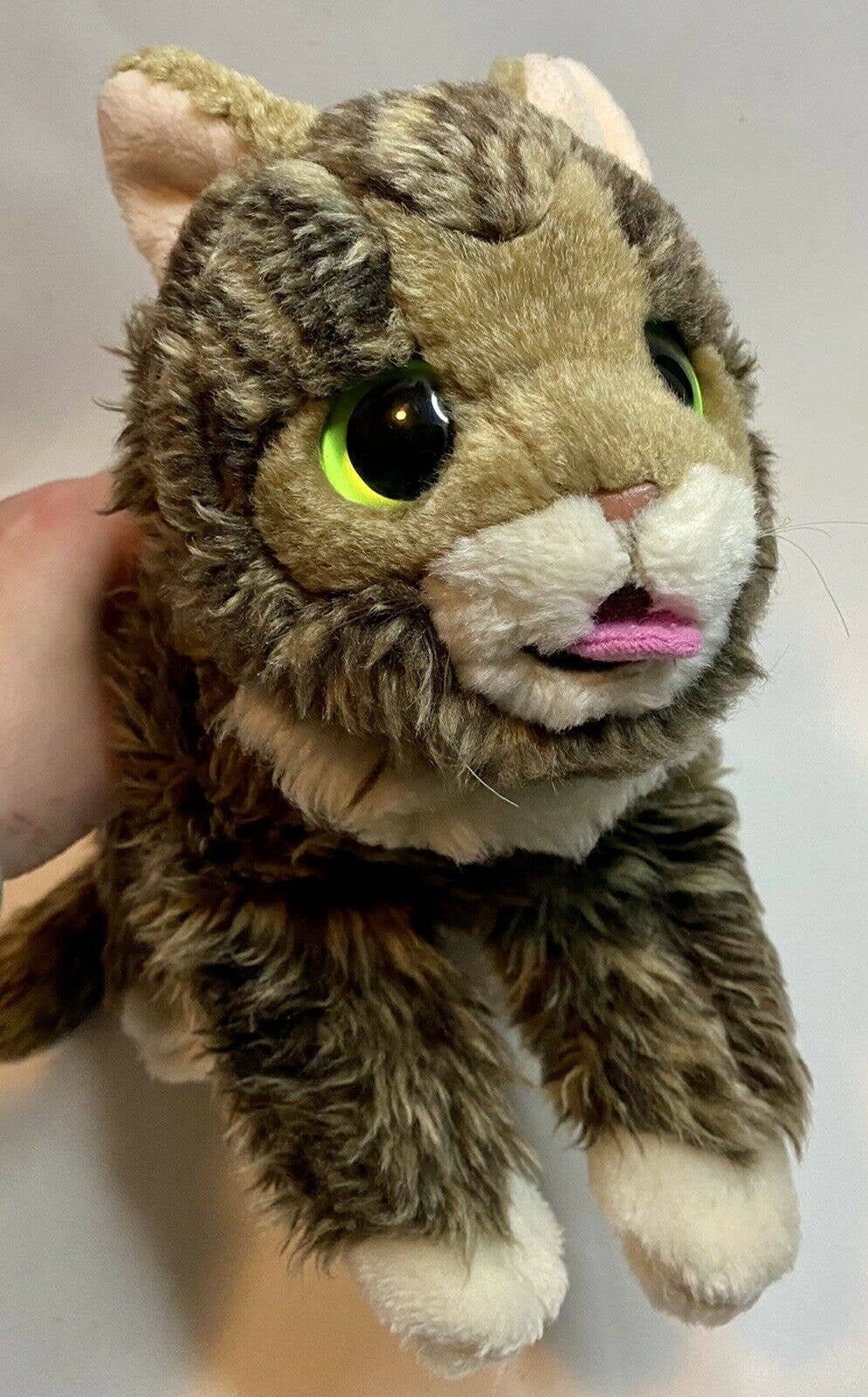 Buy Cuddle Barn Lil Bub Adorable Kitten Cat Plush Toy Stuffed