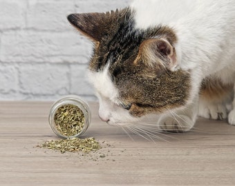 catnip pellets