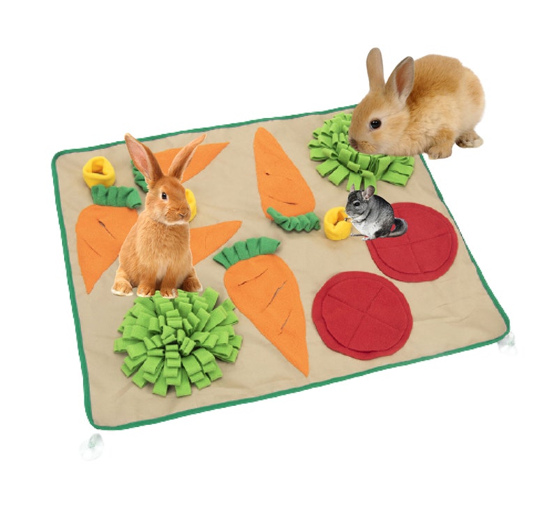 foraging mat