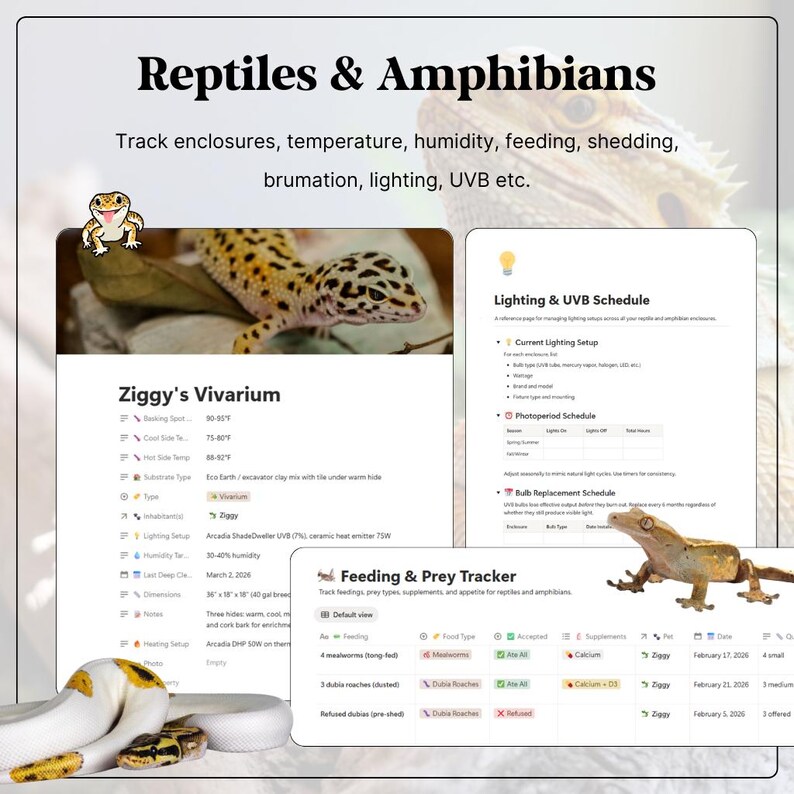 Pet Care Planner Notion Template| Dog Cat Reptile Fish Bird Tracker ...