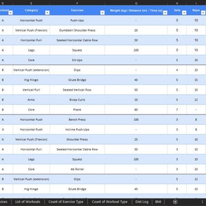 Main sheet used to track every workout. You can see how many times per week you are training. It allows you to track the exercise type, exercise name, weight, distance, time, sets, reps, dates, notes.