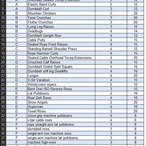 List of different possible workouts to choose from. Included are the recommended number of sets and reps.
