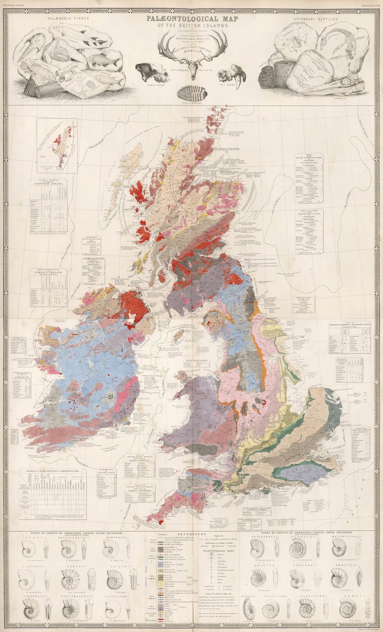Carte Paléontologique Des Îles Britanniques