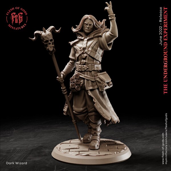 The Dark Wizard | Flesh of Gods |3D Resin Printed| DnD,Pathfinder,RPG,TTRPG,Wargaming,Mage,Spell Caster,Magic,Cleric,Sorcerer,Halloween,Gift