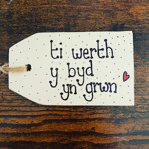 Ti Werth Y Byd Yn Grwn (vales todo el mundo) Etiqueta de madera XL (12cmx7cm)