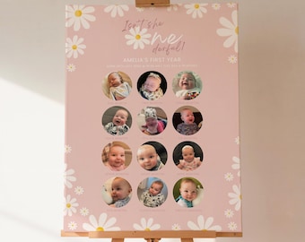 Könnte beinhalten: Ein rosa Poster mit Gänseblümchenmotiven und dem Text "Isn't she wonderful!" und "Amelia's First Year." Das Poster zeigt 12 kreisförmige Fotos eines kleinen Mädchens, die jeweils mit einem Monat beschriftet sind. Das Poster wird auf einer Holzstaffelei präsentiert.