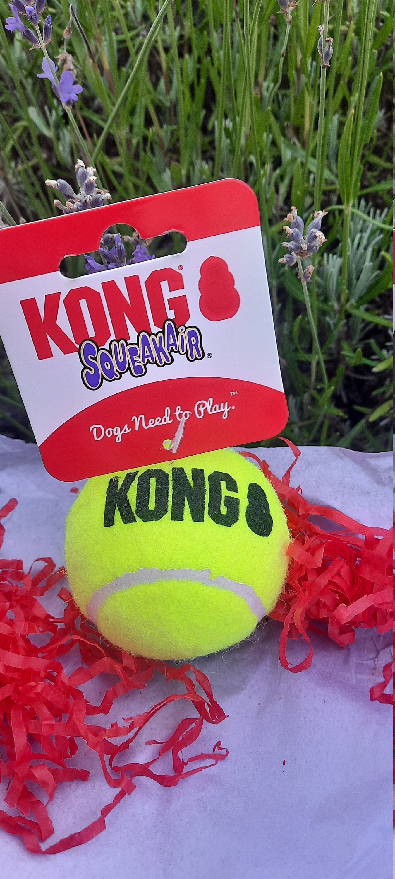 Set of Two Squeaky Balls Dog Toy Etsy UK