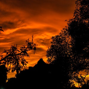 Borneo sunset, Niah National Park, Malaysia, Gift, Home Decor, Wall Art, Canvas, Print, 5x7, 8x12, 11x14, 12x18, 16x24,20x30