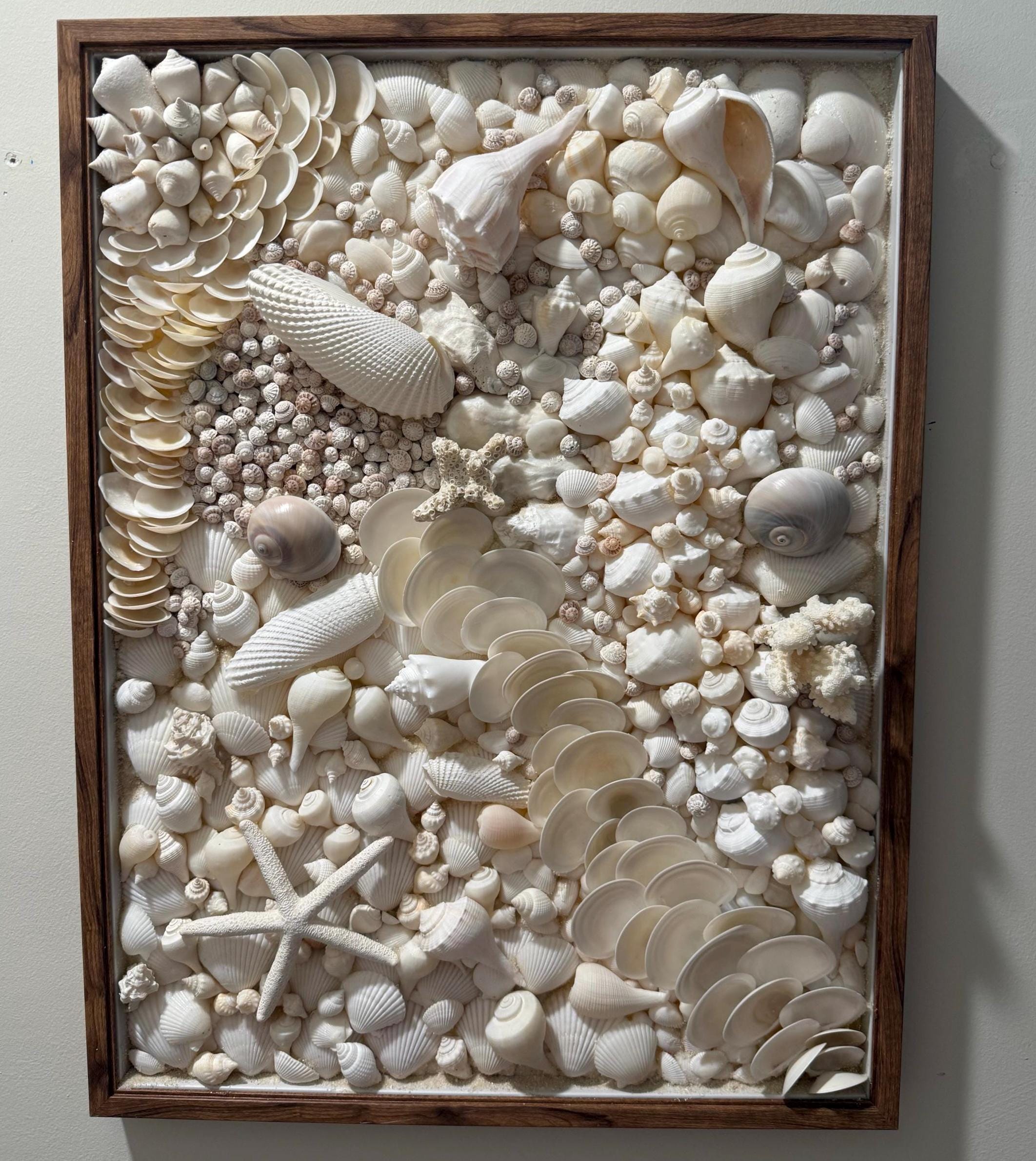 Shell Decor Subtle Handmade Coastal Shell Wall Art Large Framed Seashell Art Neutral Beach ...