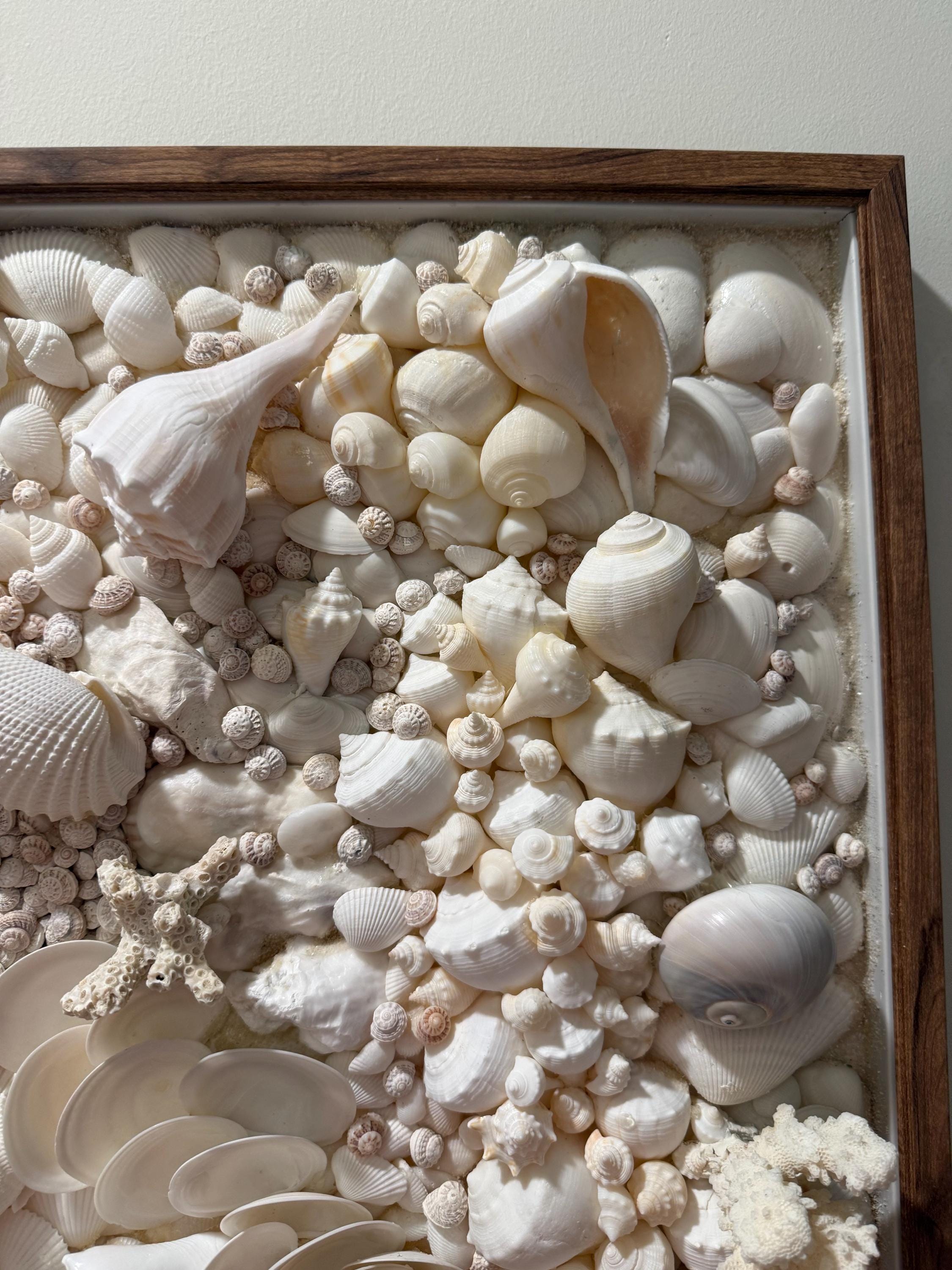 Shell Decor Subtle Handmade Coastal Shell Wall Art Large Framed Seashell Art Neutral Beach ...