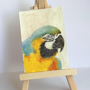 Original ACEO Blau-Gelb Ara Kopf Studie, handbemalte Miniatur-Papagei Kunstkarte 2.5x3.5 OOAK