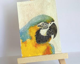 Oryginalna karta artystyczna ACEO z niebiesko-żółtą głową ary, malowana ręcznie, 2,5 x 3,5 cala, OOAK