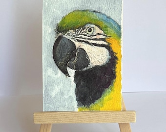 Dipinto originale ACEO di un'ara blu e gialla, cartolina artistica in miniatura dipinta a mano con pappagallo, 2,5x3,5 pollici, uccello OOAK da collezione