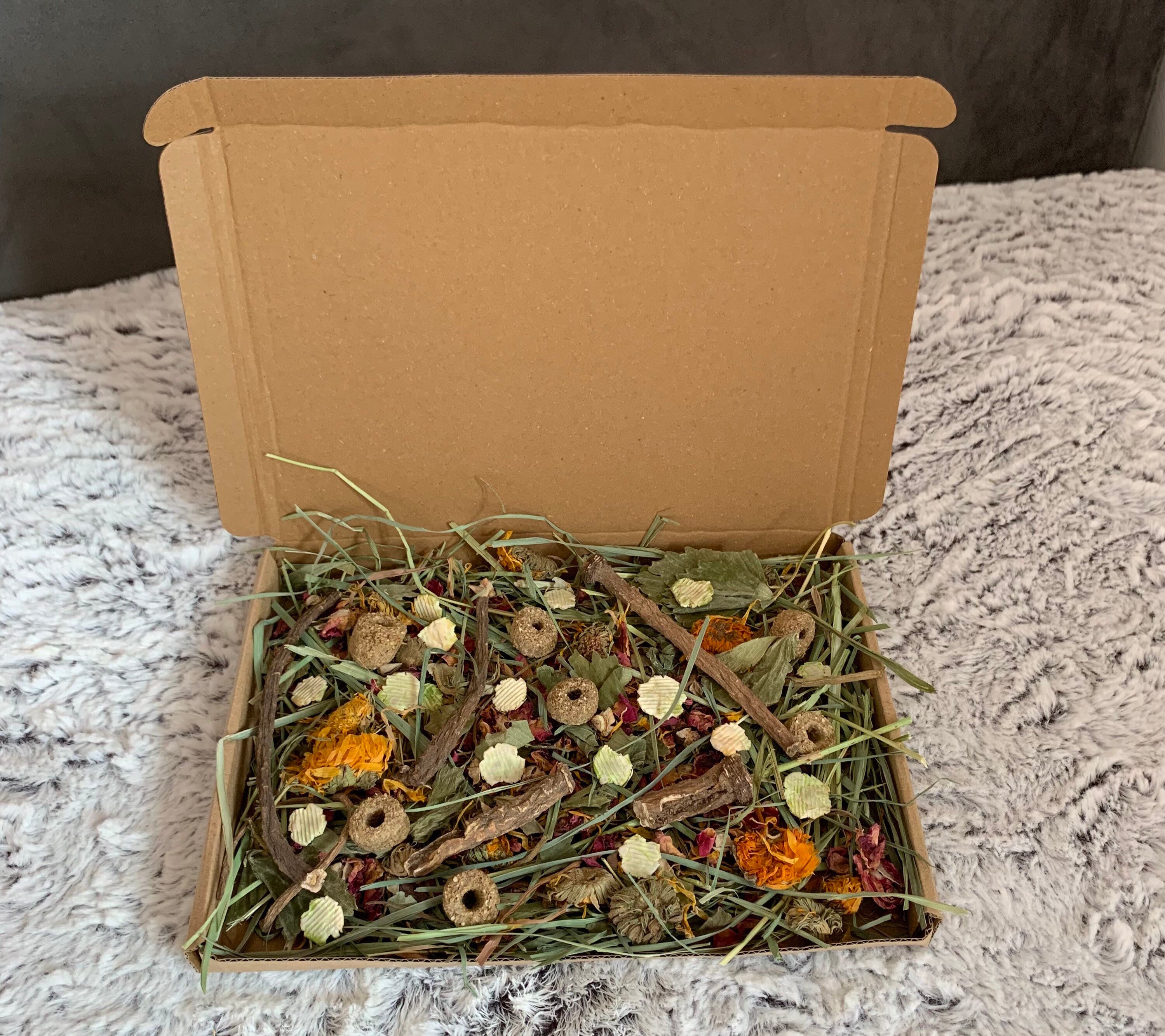 Binky Box Forage Box for Bunnies Etsy