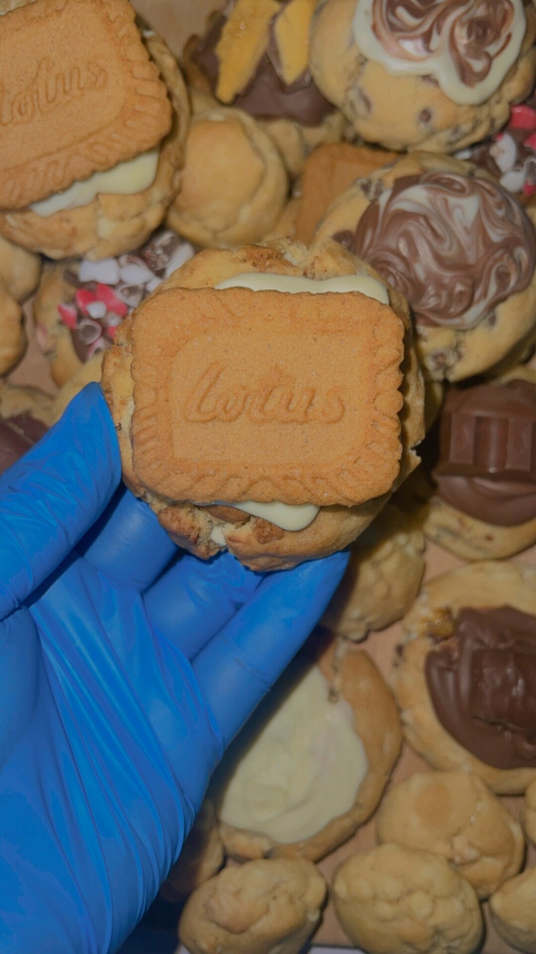 Lotus Biscoff Cookie Etsy