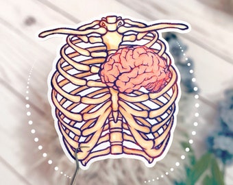 Botanical Anatomy Sticker: Human Brain & Ribcage, Waterproof Vinyl
