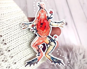 Dissected Frog Anatomy Sticker: Floral Biology, Waterproof Vinyl