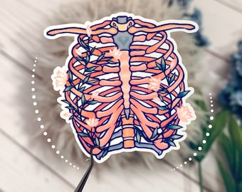 Sticker floral pour cage thoracique : anatomie botanique, art STEM