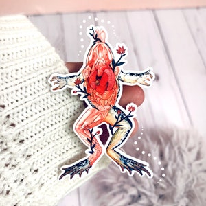 Puede incluir: Una pegatina de una rana con sus órganos internos visibles, incluyendo su corazón, pulmones e intestinos. La rana está rodeada de flores y hojas.