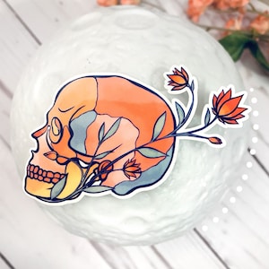 Pegatina de anatomía floral del cráneo / Pegatina de ciencia de nuerobiología / Regalo de biología Nuerociencia para estudiantes de medicina / regalo para enfermera / Pegatina de anatomía