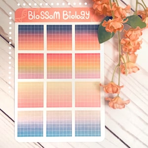 May include: A sheet of 12 colorful gradient grid stickers with the text "Blossom Biology" at the top. The stickers are in shades of blue, pink, orange, and yellow.
