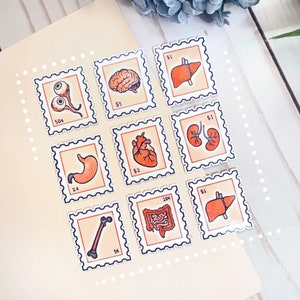 Cute Organ Stamp Stickers | Waterproof Anatomy Vinyl Decals