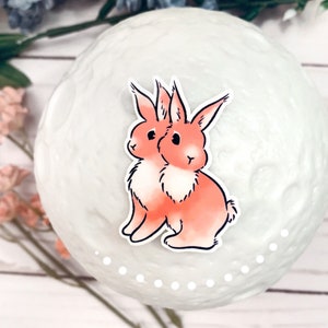 Two headed rabbit sticker | mutant bunny sticker | cute biology sticker | waterproof waterbottle sticker