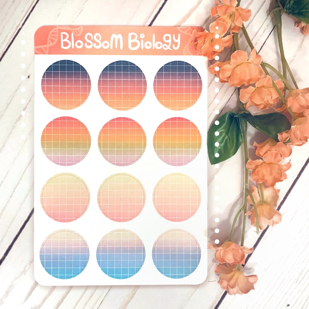 Circle Minimalist Pastel Stickers| Study Stickers | Pastel Notebook ...