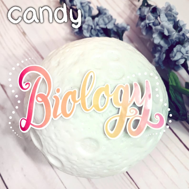 Biology Sticker, Aesthetic STEM, Waterproof Vinyl Decal candy