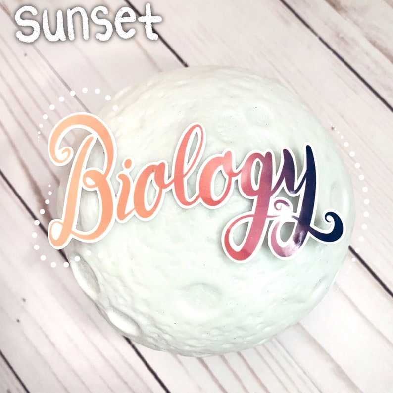 May include: A white, round, textured slime ball with the word "Biology" written on it in a colourful, gradient font. The word "Sunset" is written in white at the top of the image.