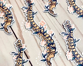 Floral Spine Sticker | Anatomy STEM Decal, Laptop Sticker