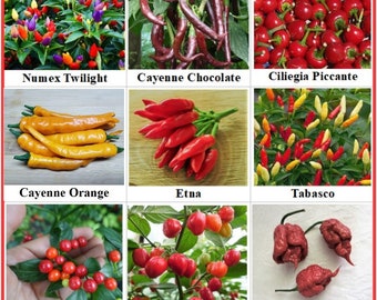 hot Pepper 12 varieties , seeds  , Heirloom, Open Pollinated, Non-GMO