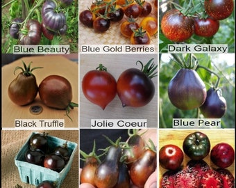 Ciambellone Al Mascarpone: Un Impasto Dalla Resa Super Fluffy! - Pane E - Foto 9