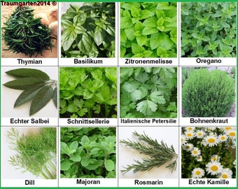 Herb Set: Herbal Seeds 12 varieties e.g. Oregano Thyme Marjoram Dill Rosemary Sage Lemon Balm Seeds