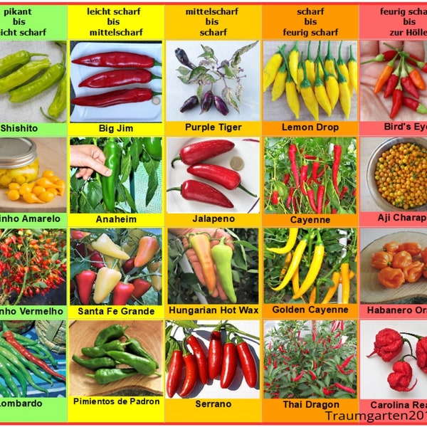 Chili set 1 : 20 types de graines de piment, par exemple Jalapeno. Aji Charapita. Carolina Reaper ... graine cultivée en Allemagne