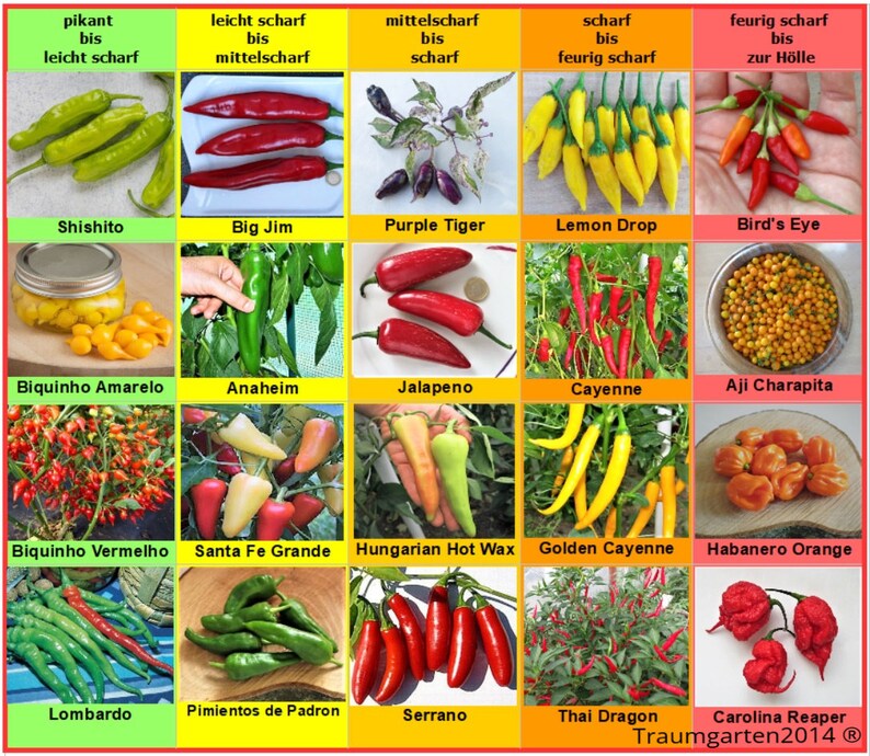 Hot Pepper Seeds 20 Varieties of Non GMO, Non Hybrid, Heirloom for example Jalapeno, Habanero, Aji Charapita, Carolina Reaper... image 1