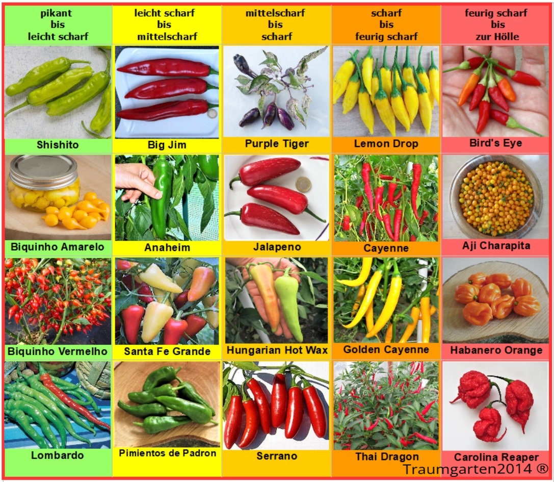 Cayenne Pepper Allergy Hives at Nancy Hunsicker blog