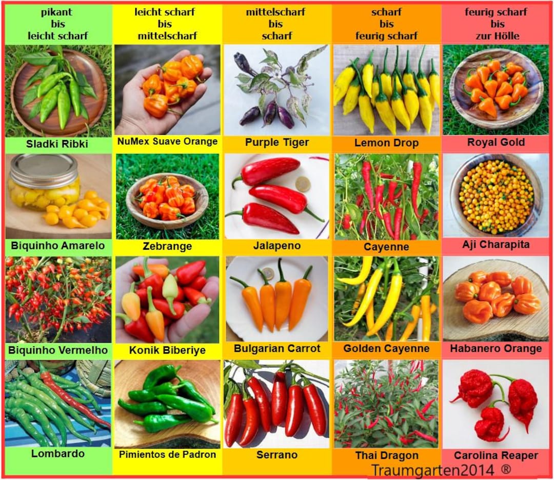 Chili Set: 20 Varieties of Seeds, Individually Packaged, From Mild