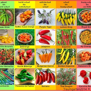Set de Chiles 20 Variedades de Semillas, Empaquetadas Individualmente, de Suaves a Muy Picantes, de Todo el Mundo, ej. Carolina Reaper