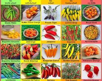 Chili Set: 20 Varieties of Seeds, Individually Packaged, from Mild to Extremely Hot, from Around the World, Carolina Reaper, Aji Charapita…