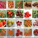 see more listings in the Tomato Seeds section