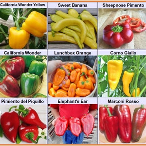 sweet Pepper 9 varieties , Paprika seeds  , Heirloom, Open Pollinated, Non-GMO